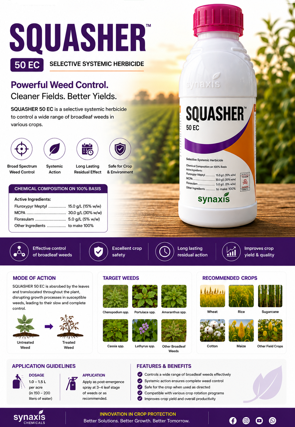 Squasher 1