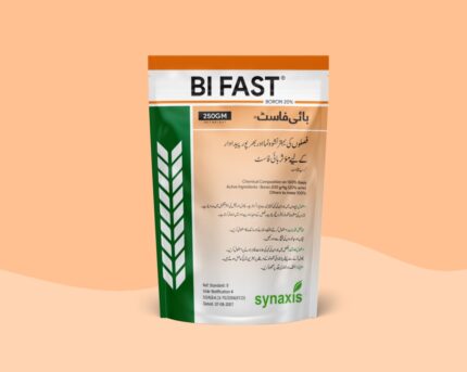 BI FAST
